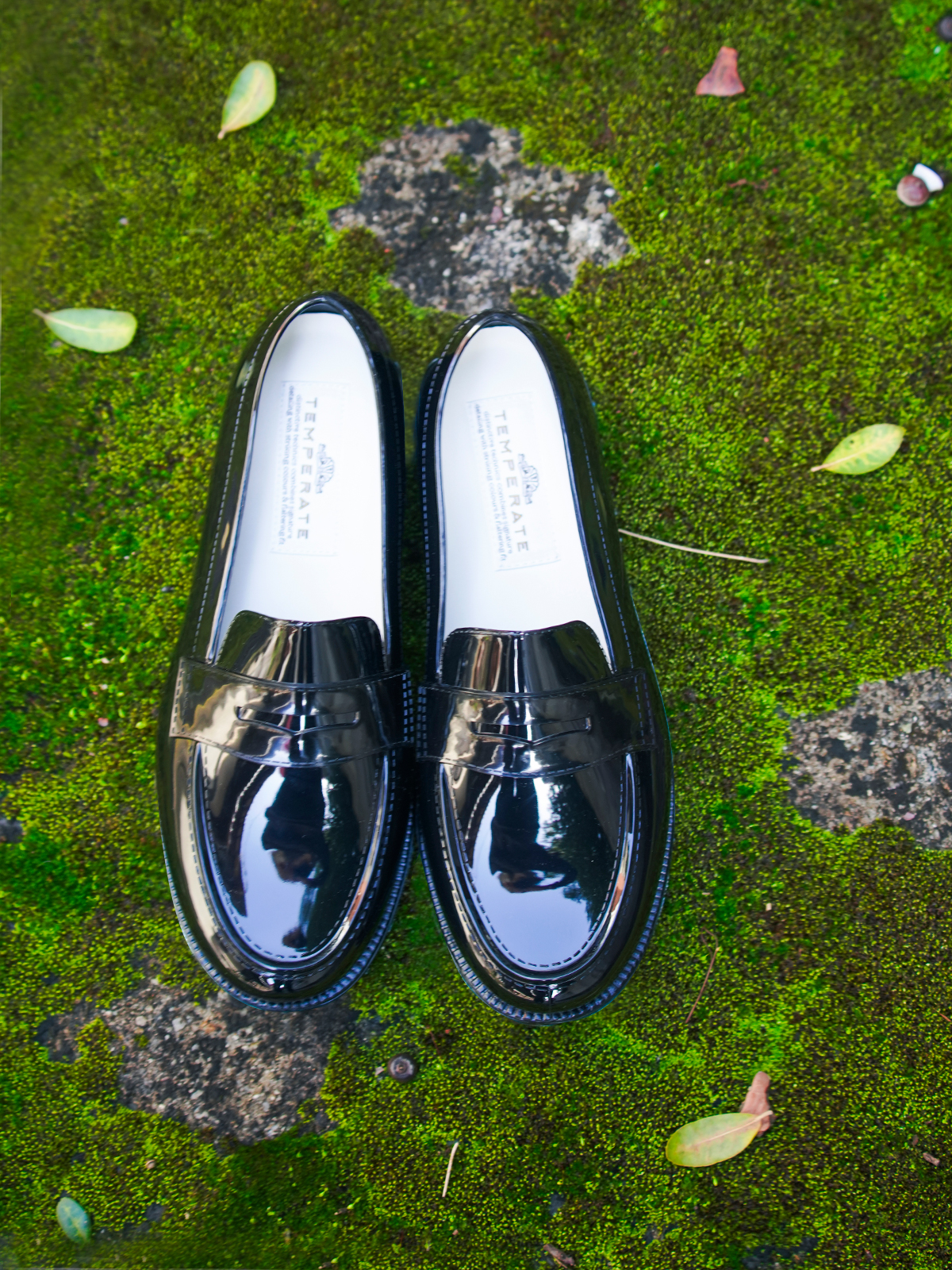 ＜特集＞旅に連れていきたいモノ'24