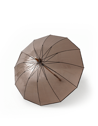 Traditional Weatherwear(トラディショナルウェザーウェア)バンブーハンドル クリア アンブレラ 「CLEAR UMBRELLA BAMBOO」 a241slggo0174
